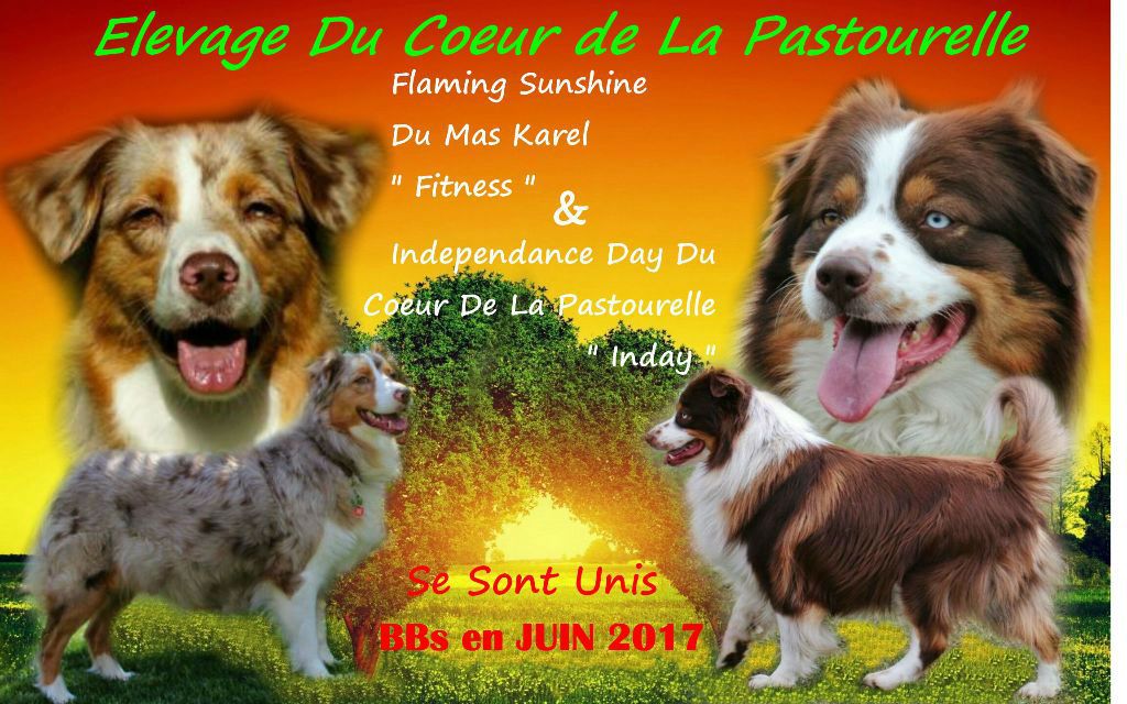 Du Coeur De La Pastourelle - ILS SONT NES LES BEBES DE L'ETE. 13 juin 2017. FITNESS X INDAY