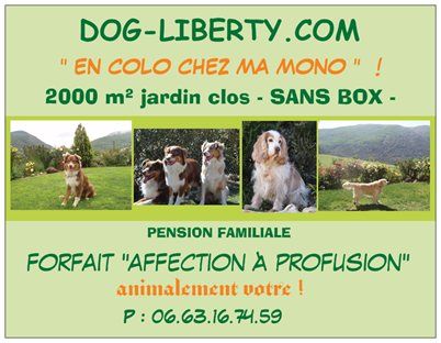 Du Coeur De La Pastourelle - DOG LIBERTY. Pension familiale SANS BOX. 2000 m² clos